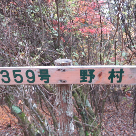 芙蓉台G-359