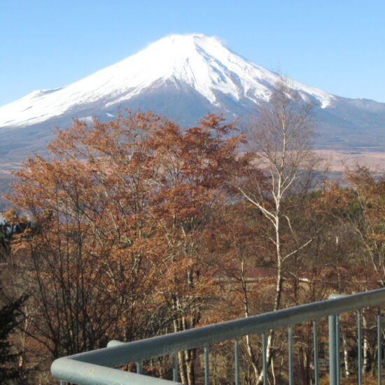 ヴィラ芙蓉台M-A13